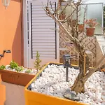 Collector's Affittacamere