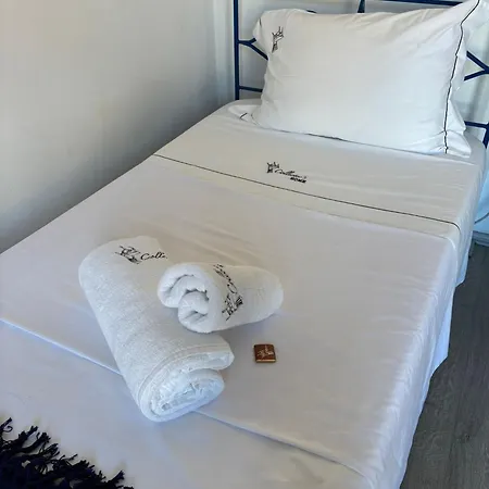 Collector's 3* 布拉加