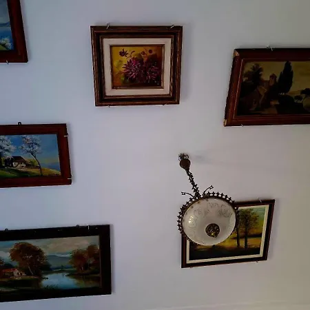 بيت ضيافة Collector's