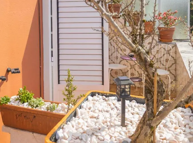 Collector's Affittacamere