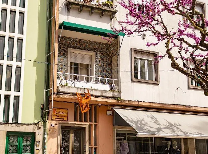 Collector's Affittacamere