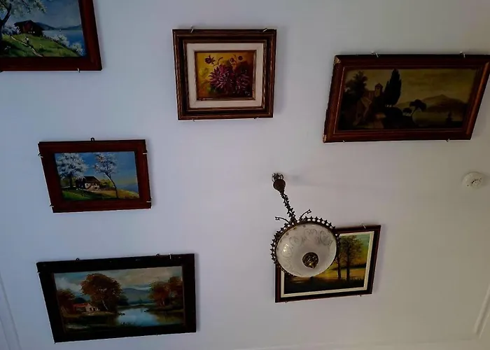 بيت ضيافة Collector's